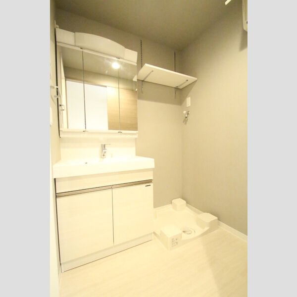 ロイジェント九段405号室 洗面