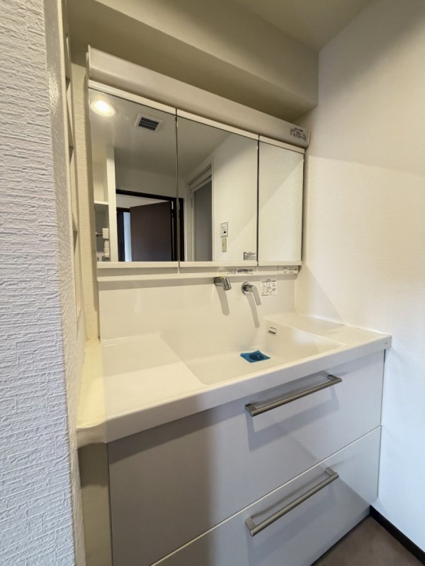 ラミーユ浦和ハイライズ　ファーストキャッスル　５１６号室 洗面