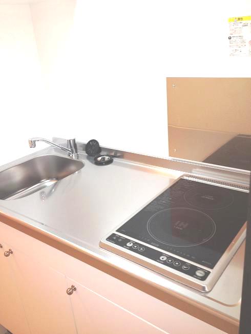 レオネクストヒマワリ305号室 部屋その他