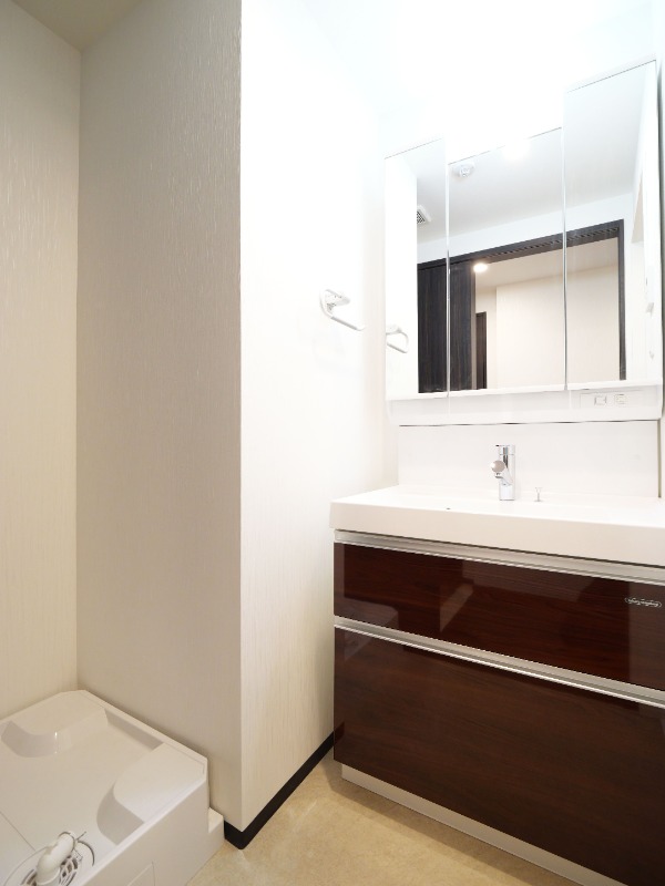 プレジオ川口ASIAN 洗面