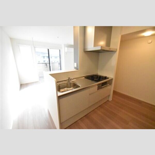 Park Vina　Ⅱ202号室 キッチンダイニング