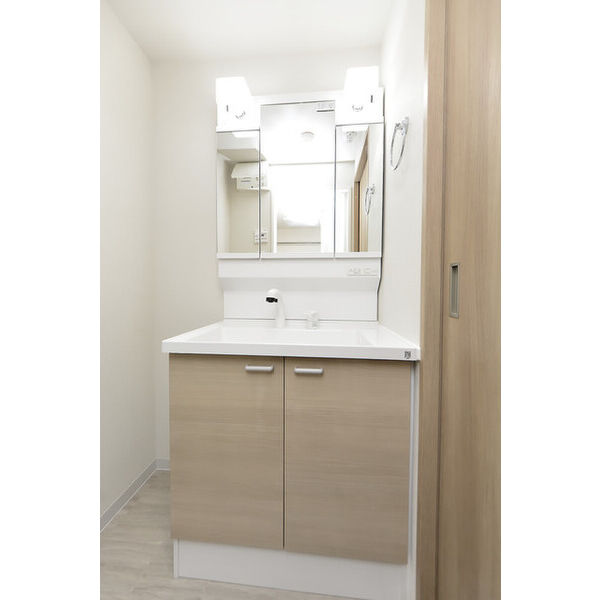 クリオ　ラモード学芸大学Ⅱ0104号室 洗面