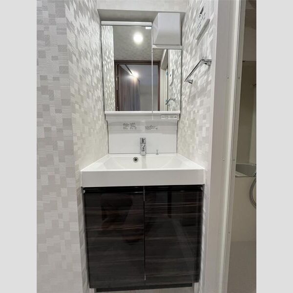 S-RESIDENCE横浜大通り公園803号室 洗面