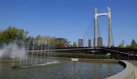 スカイコート新宿新都心第二4階 【公園】木場公園まで767ｍ