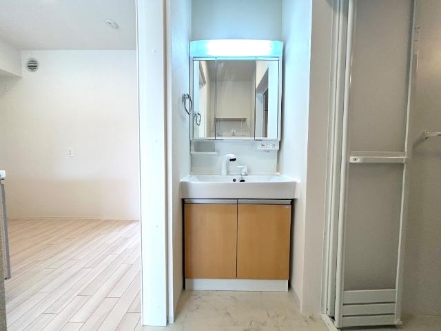 Ｓｍｉｌｅ　ｖｉｌｌａ（スマイル　ヴィラ）203号室 洗髪洗面化粧台