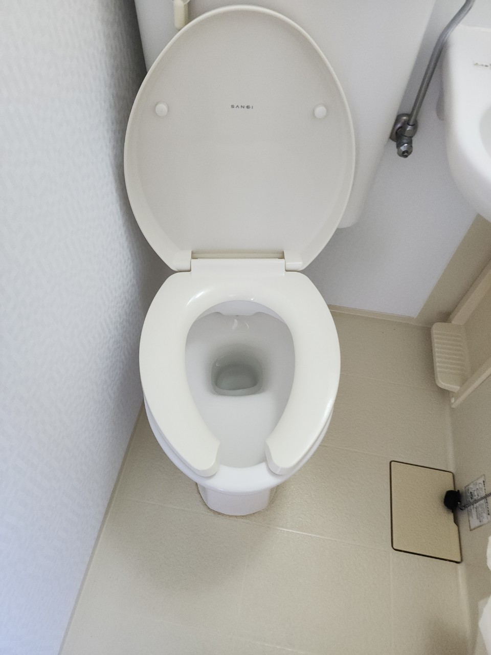 コーポ竹島301号室 トイレ