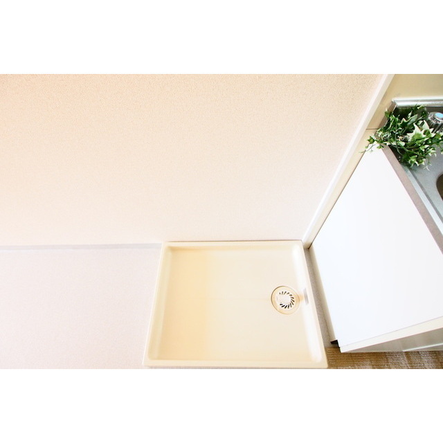 辺見コンパウンド203号室 室内洗濯機置場♪