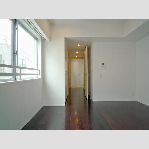 カスタリア武蔵小杉0301号室 リビング