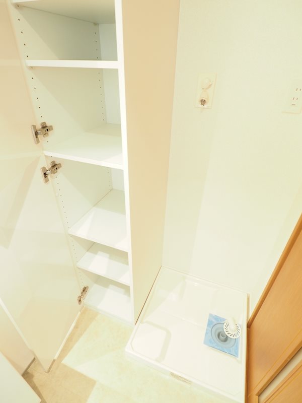 レジディア文京本郷 収納