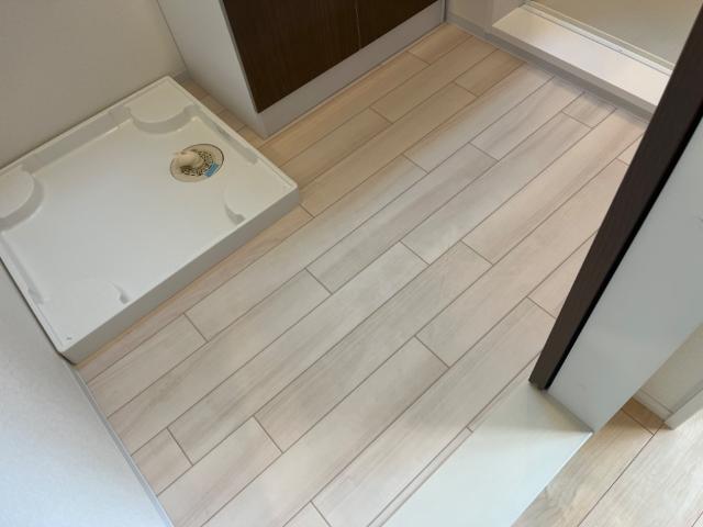 アルデバラン３４８203号室 脱衣所