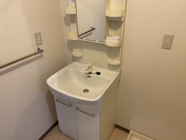 パルメゾン石神井公園　Ｂ棟B102号室 洗面