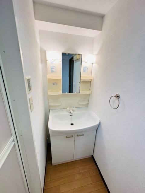 バイオレットＴＡＫＥＤＡ0203号室 洗面