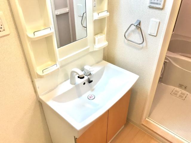 サンライツＫ シャンプードレッサー