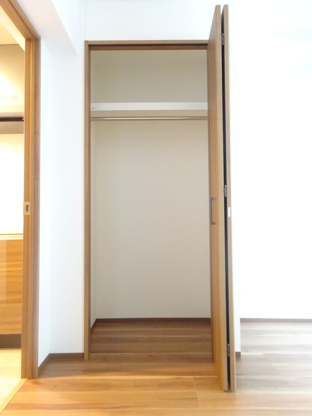ラフィスタ元町Ⅱ514号室 収納