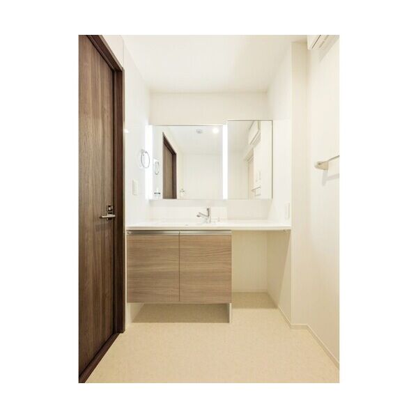 LAPIN湘南403号室 洗面