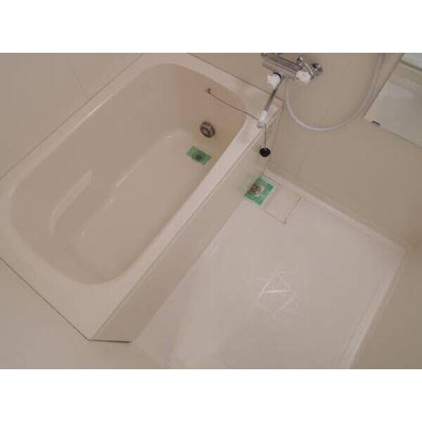 インゼルドルフ0201号室 お風呂