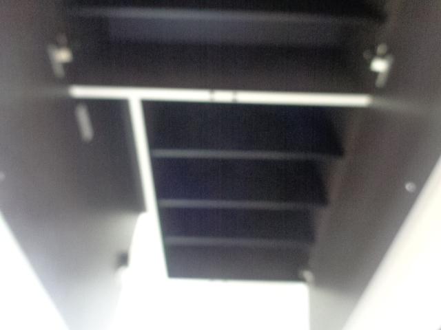 スターチス 下駄箱