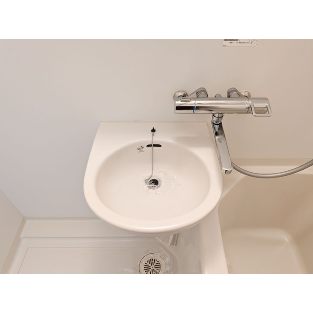 N-Flats東大井1002号室 洗面ボウル