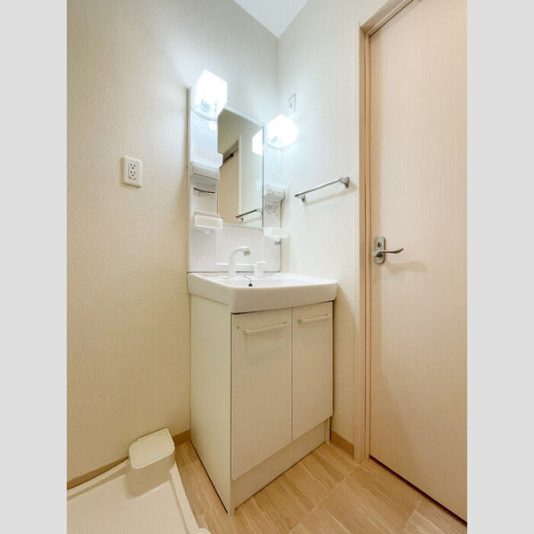 カーサ フェリーチェ 柴又104号室 洗面化粧台