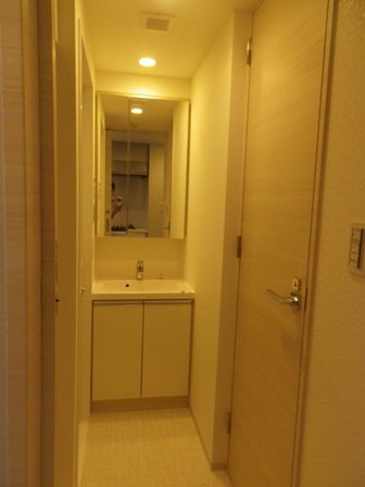 DIPS墨田EAST201号室 洗面