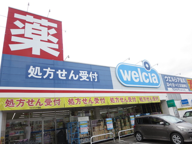 ＮＫホーム飯能第一 【ドラッグストア】ウエルシア薬局飯能柳町店まで168ｍ