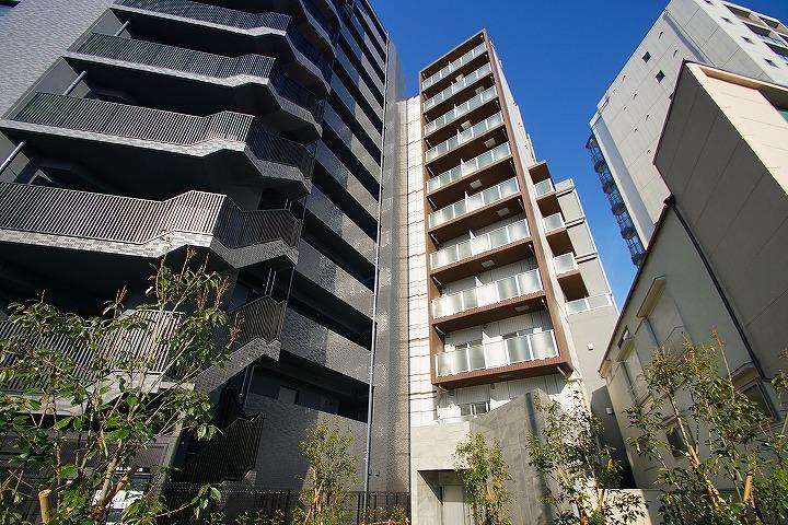 AR向島11階 その他