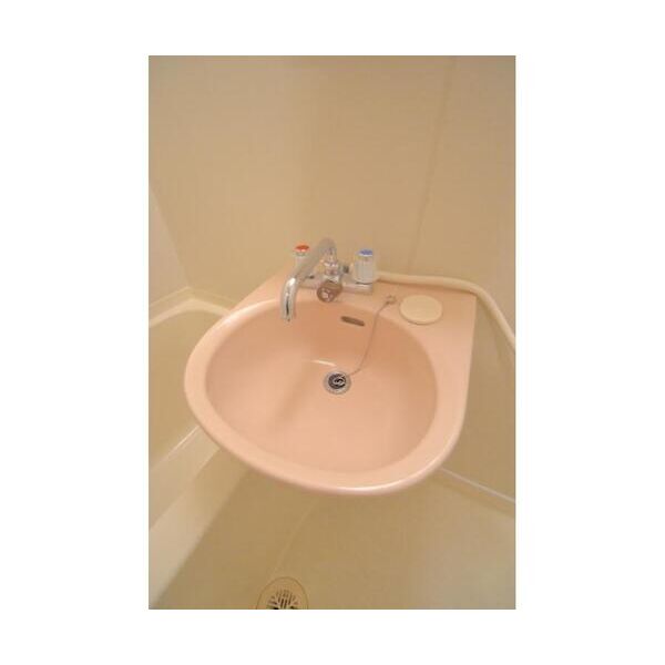 エステートピアグリーン西山A103号室 洗面