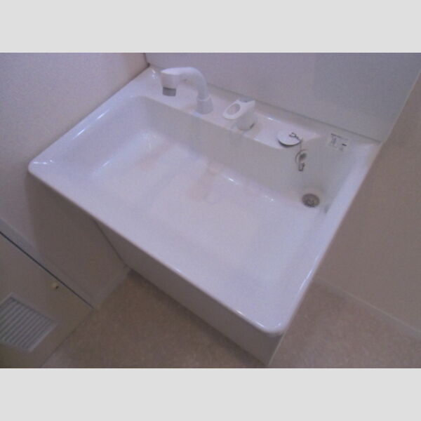 シャインクロコ303号室 303(洗髪洗面化粧台)