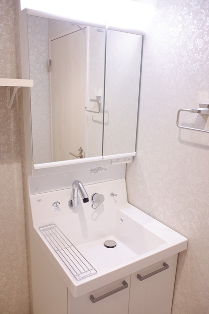 Ｌｅｓ　Ｍｅｒｖｅｉｌｌｅｕｓｅｓ202号室 洗面