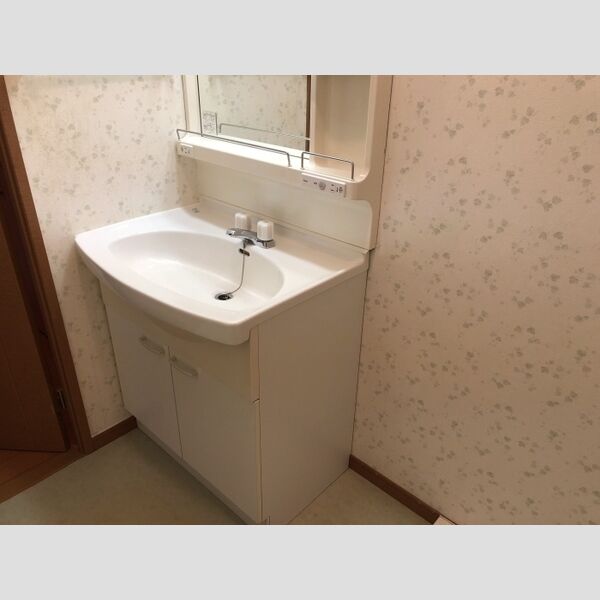 SeLene 洗髪洗面化粧台