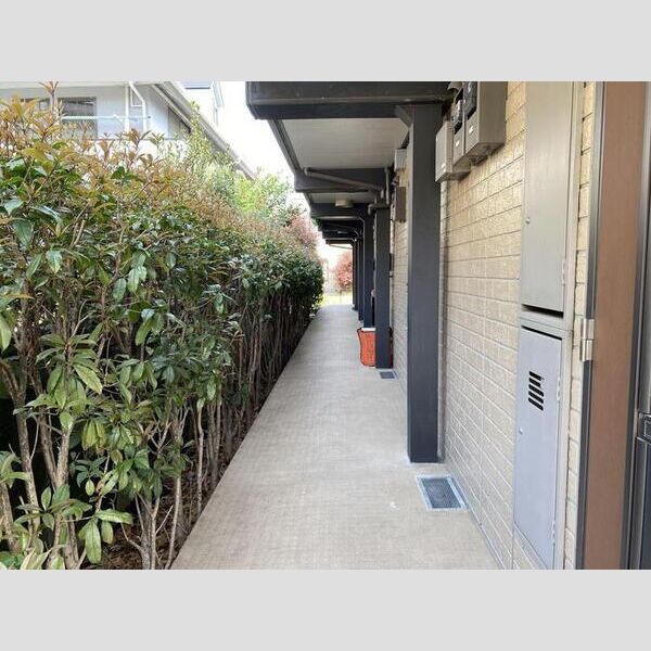 プレステージュ206号室 共用廊下