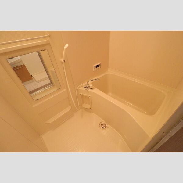 ミドルロード　壱番館605号室 浴室