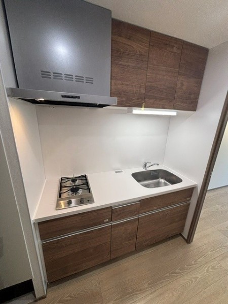 Ｔｈｅ　Ｓｈｉｎａｇａｗａ　Ｅａｓｔ　Ｒｅｓｉｄｅｎｃｅ3階 キッチン