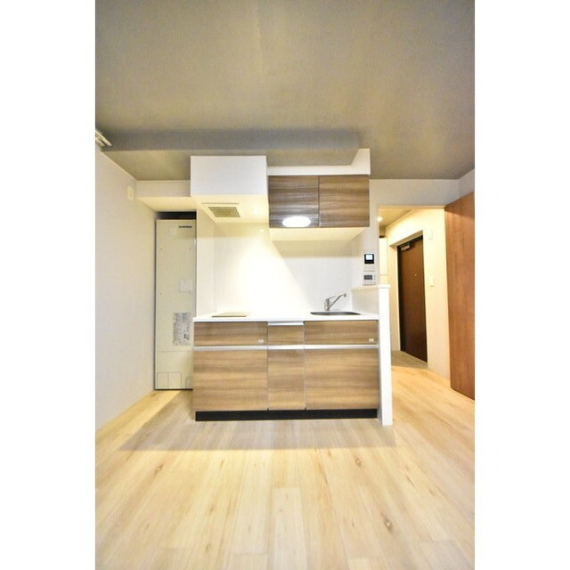 CASA PIAZZA 新小岩0101号室 内観