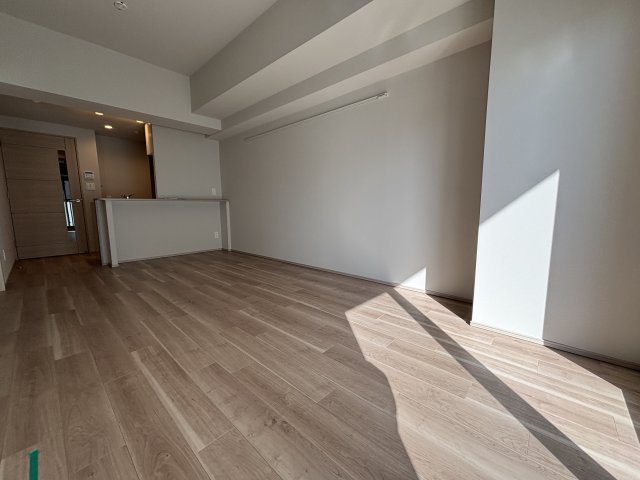 グランディアラフィーネ0203号室 リビング