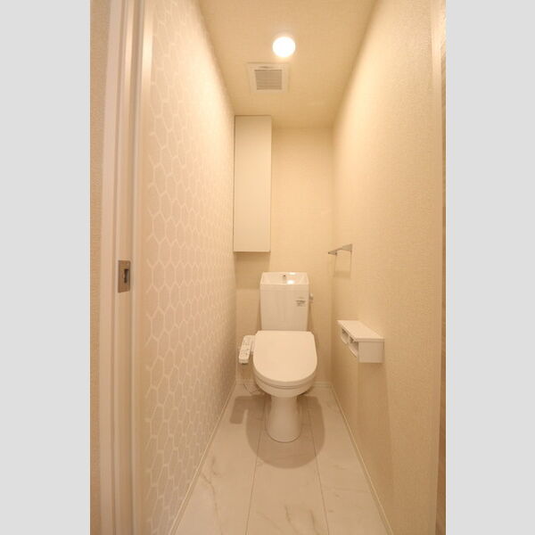 D Paina 新羽町202号室 トイレ　温水洗浄暖房便座