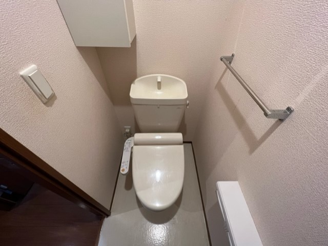 ＳＯＬＥＩＬ　ＡＯＹＡＭＡ0302号室 トイレ