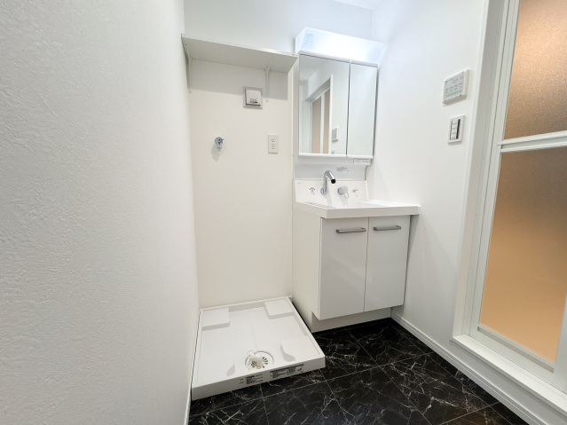 スカイルーチェ南浦和103号室 洗面