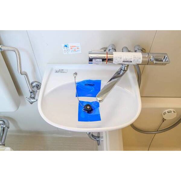 ホワイトハウスⅡ0105号室 洗面