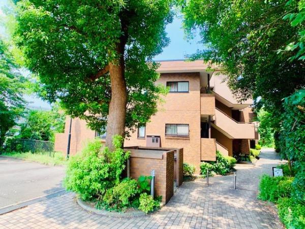 ヒルハイツ妙蓮寺3階 外観