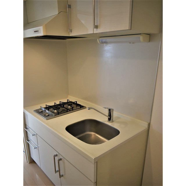 ヒューマンハイム亀戸ＩＩ1001号室 キッチン