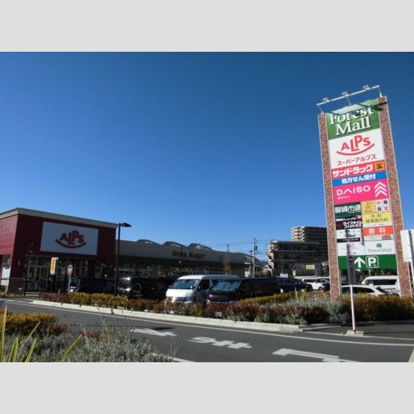 Dフラット大和田 アルプス大和田店