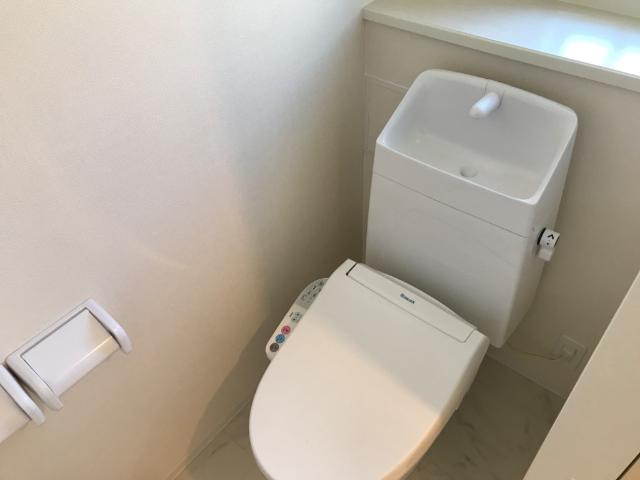 Ｂrowny Ｇreen　(ブラウニーグリーン)203号室 トイレ