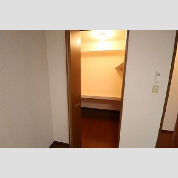 ノーブルタウン　弐番館101号室 ウォークインクローゼット