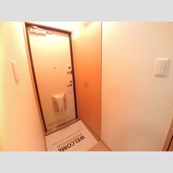 シェドプール トールタイプのシューズボックス付