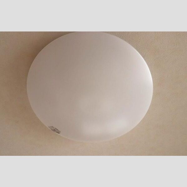 リアルコート　Ⅰ203号室 居室照明