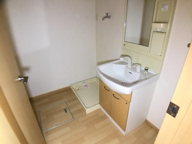 ヴァンベールＫ102号室 洗面