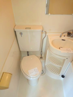 キャッスル滝沢208号室 トイレ