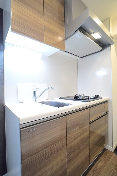 ステージグランデ新中野アジールコート3階 ※カラータイプは白です