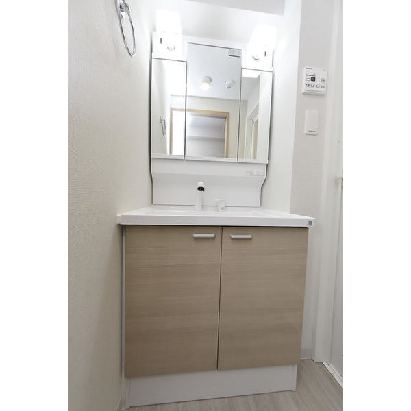 クリオ　ラモード学芸大学Ⅱ0402号室 洗面